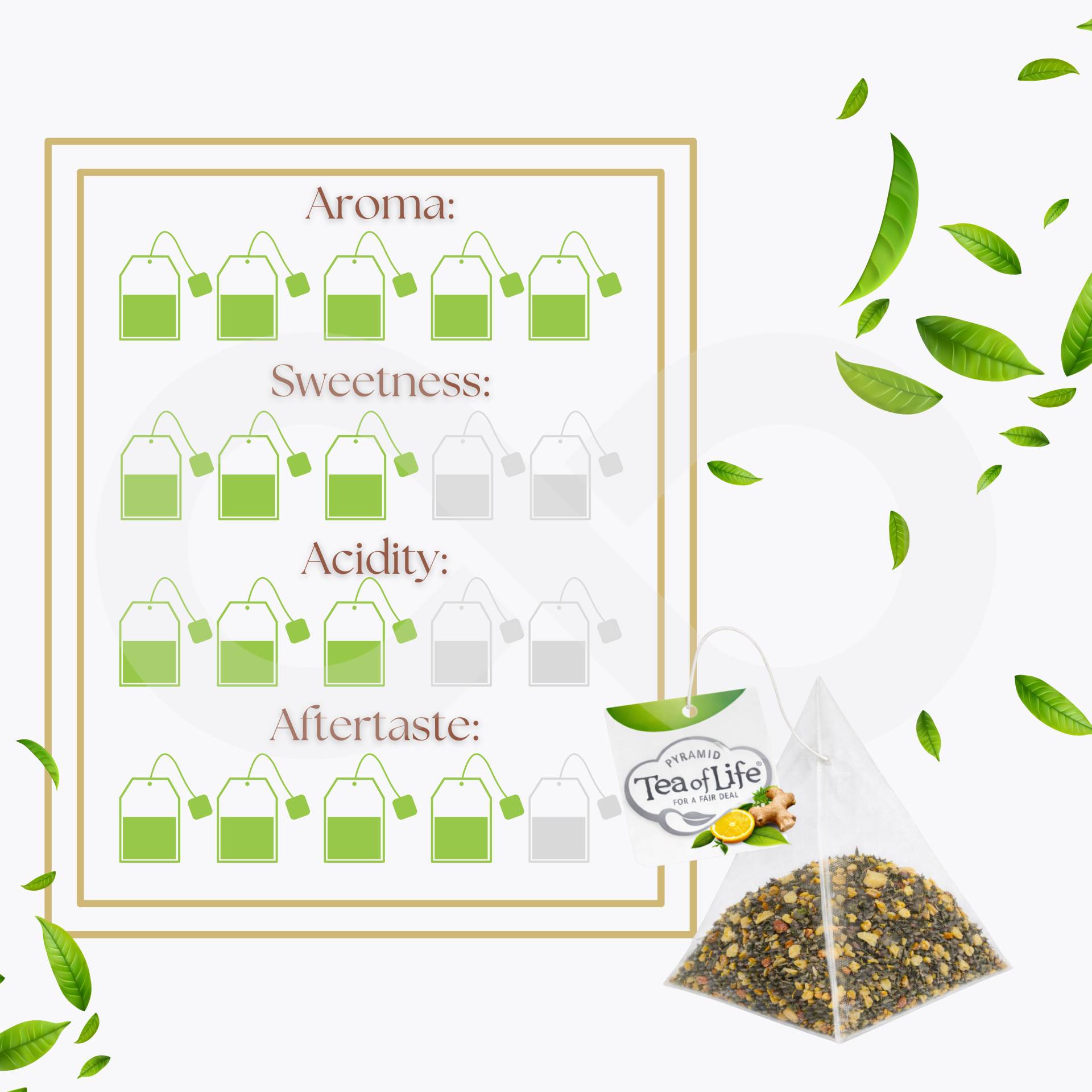 TEA OF LIFE® Chá Gengibre E Laranja 25 un.
