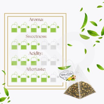 TEA OF LIFE® Chá Gengibre E Laranja 25 un.
