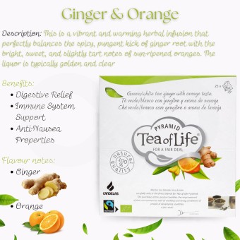 TEA OF LIFE® Chá Gengibre E Laranja 25 un.