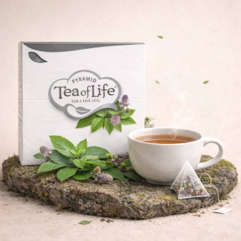TEA OF LIFE® Thé Earl Grey Noir 25 u.