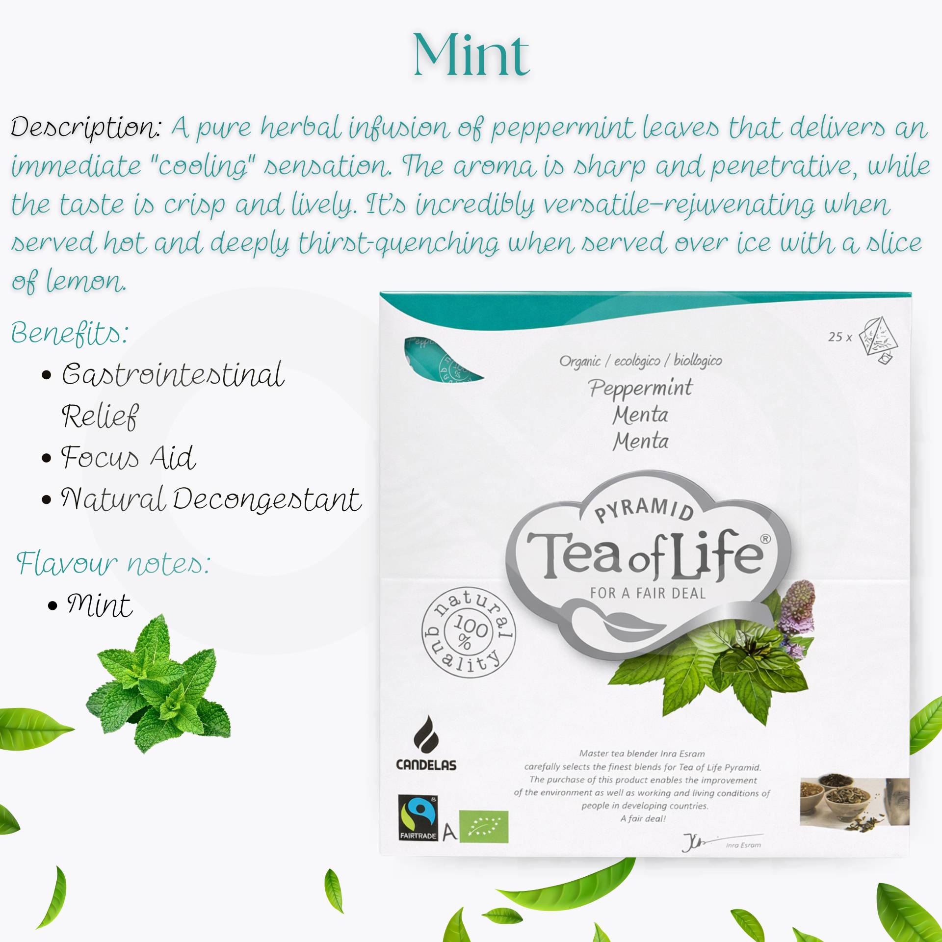 TEA OF LIFE® Chá Menta 25 un.