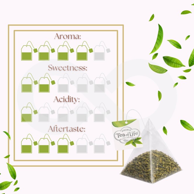 TEA OF LIFE® Chá Verde Sencha 25 un.