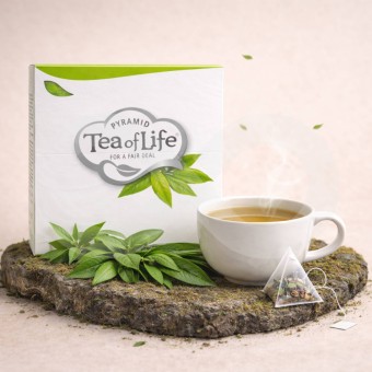 TEA OF LIFE® Chá Verde Sencha 25 un.