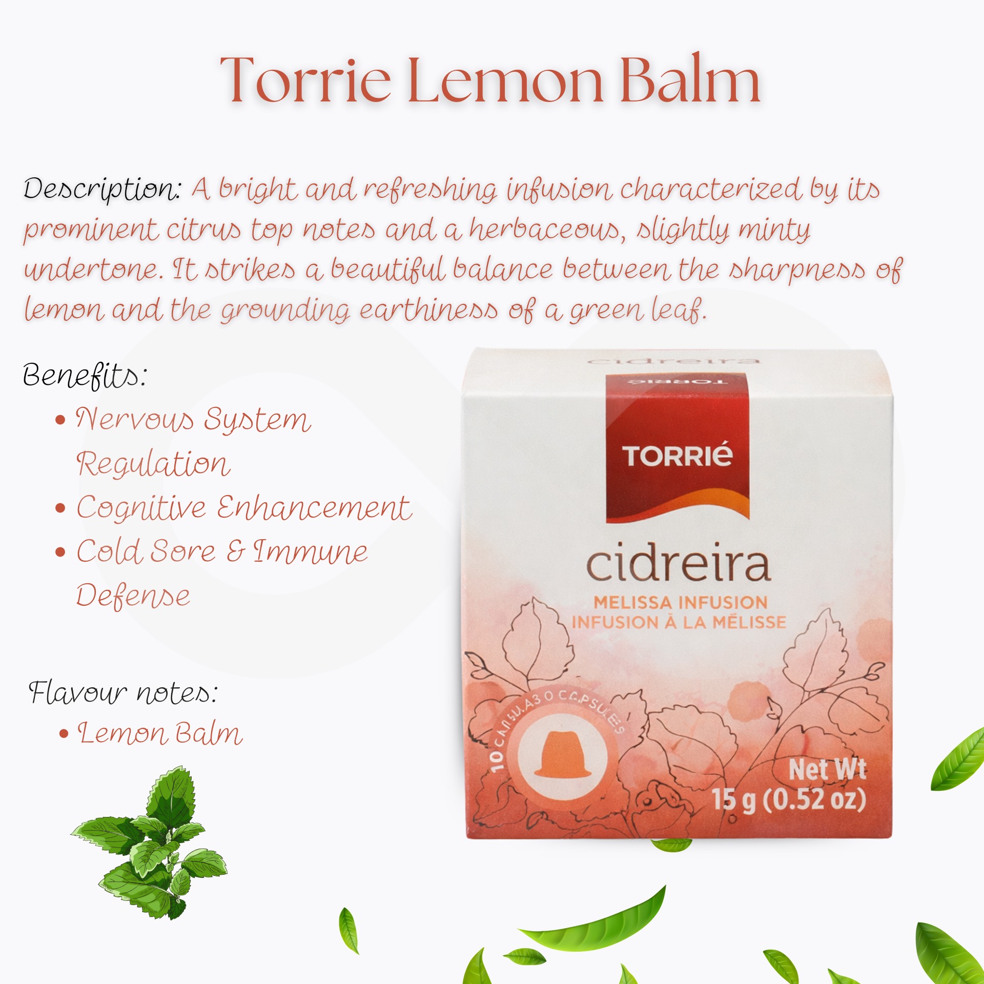 TORRIE® Nespresso Capsules Lemon Balm 10 un.