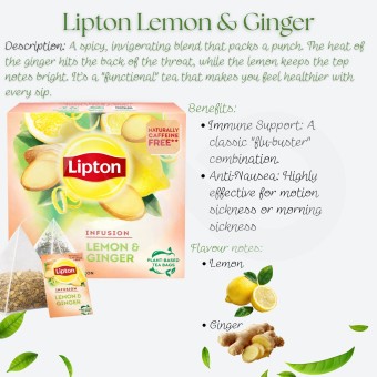 LIPTON® Tè Lemon & Ginger 20 pz.
