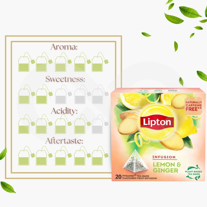 LIPTON® Tè Lemon & Ginger 20 pz.