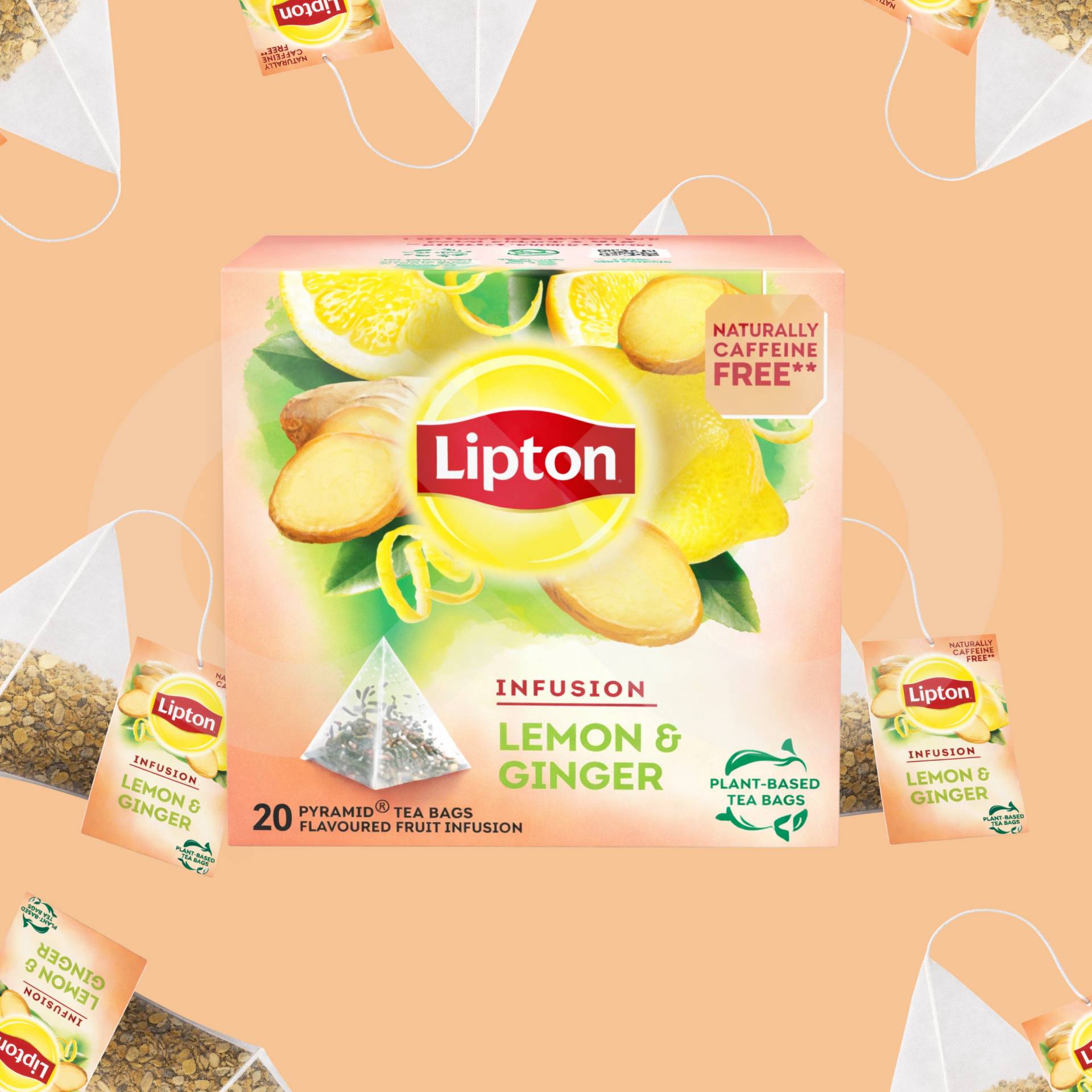 LIPTON® Tè Lemon & Ginger 20 pz.