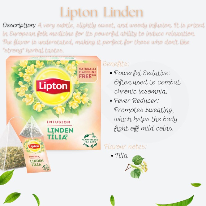 LIPTON® Chá Tilia 20 un.