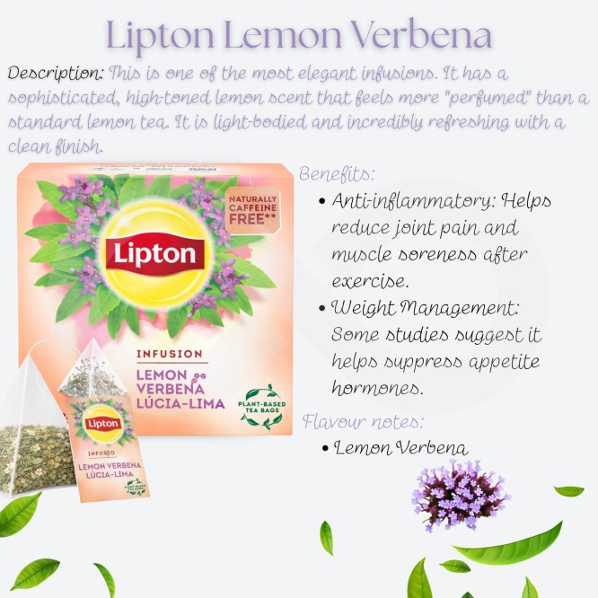 LIPTON� Th� Lucia-Lima 20 u.
