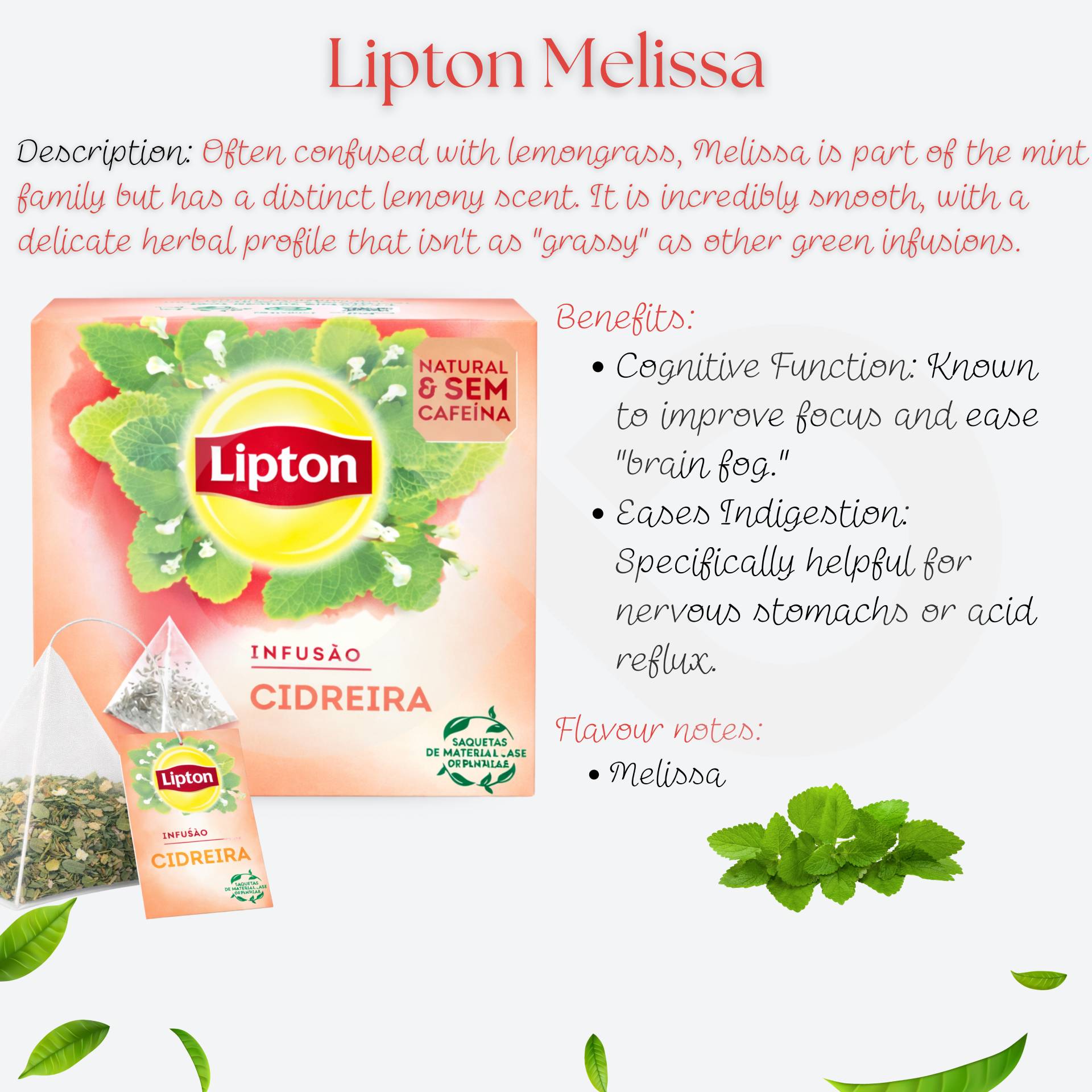 LIPTON® Tè Melissa 20 pz.