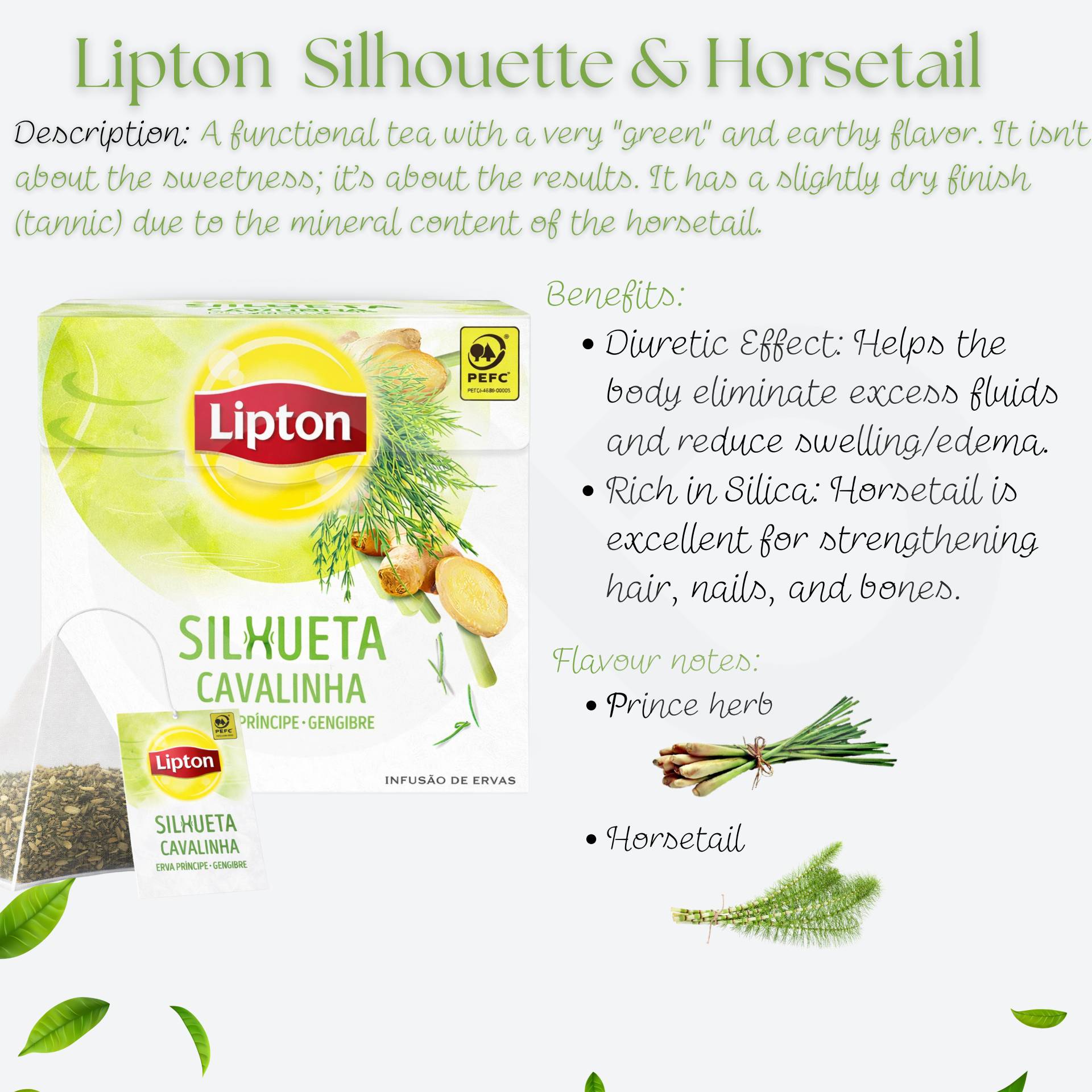 LIPTON® Thee Silhouet, Paardenstaartthee 20 st.