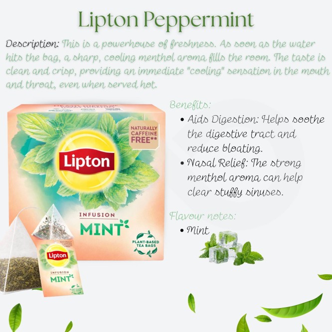 LIPTON® Té De Menta 20 uds.