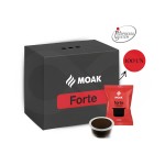 Forte Forte
