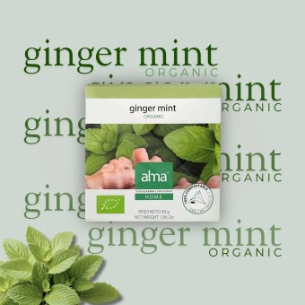 ALMA® Tee Ginger Mint 15 Stk. ALMA® Tee Ginger Mint 15 Stk.