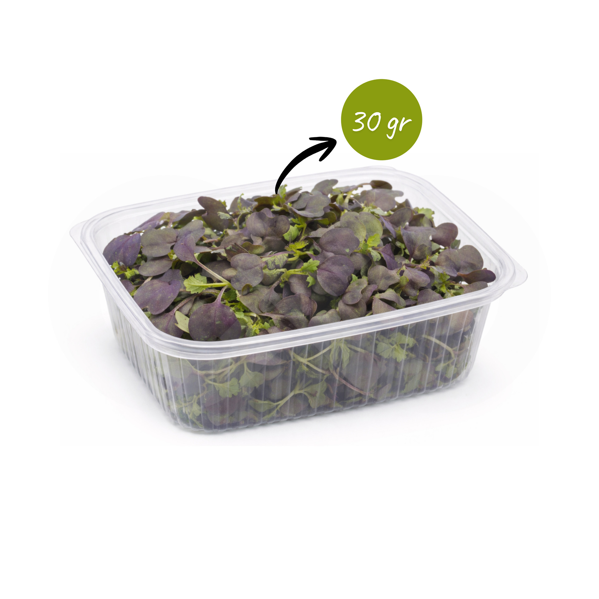 MERCEARIA DU CHEF® Micro Vegetale Mizuna 30gr