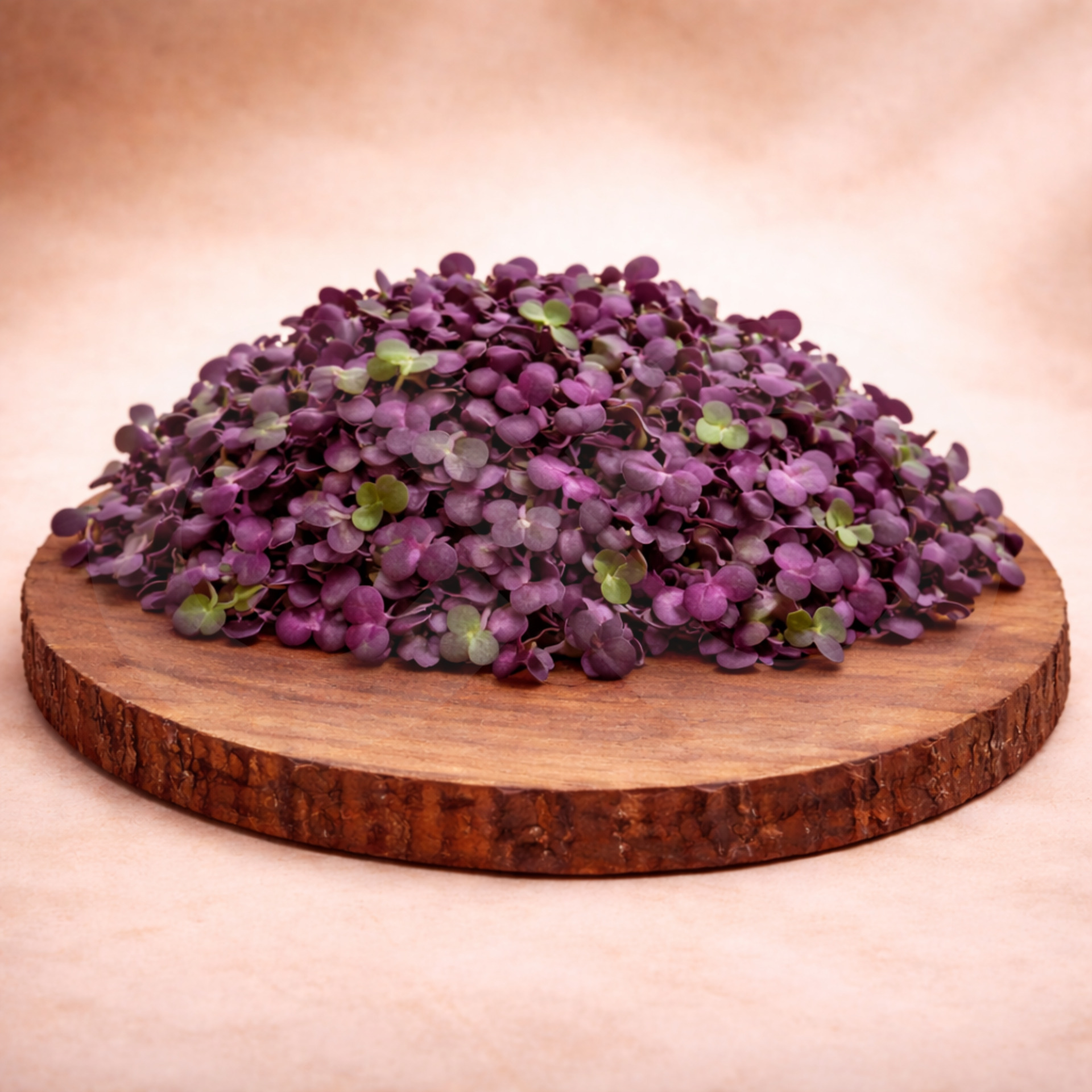 MERCEARIA DU CHEF® Radish Microgreens 30gr