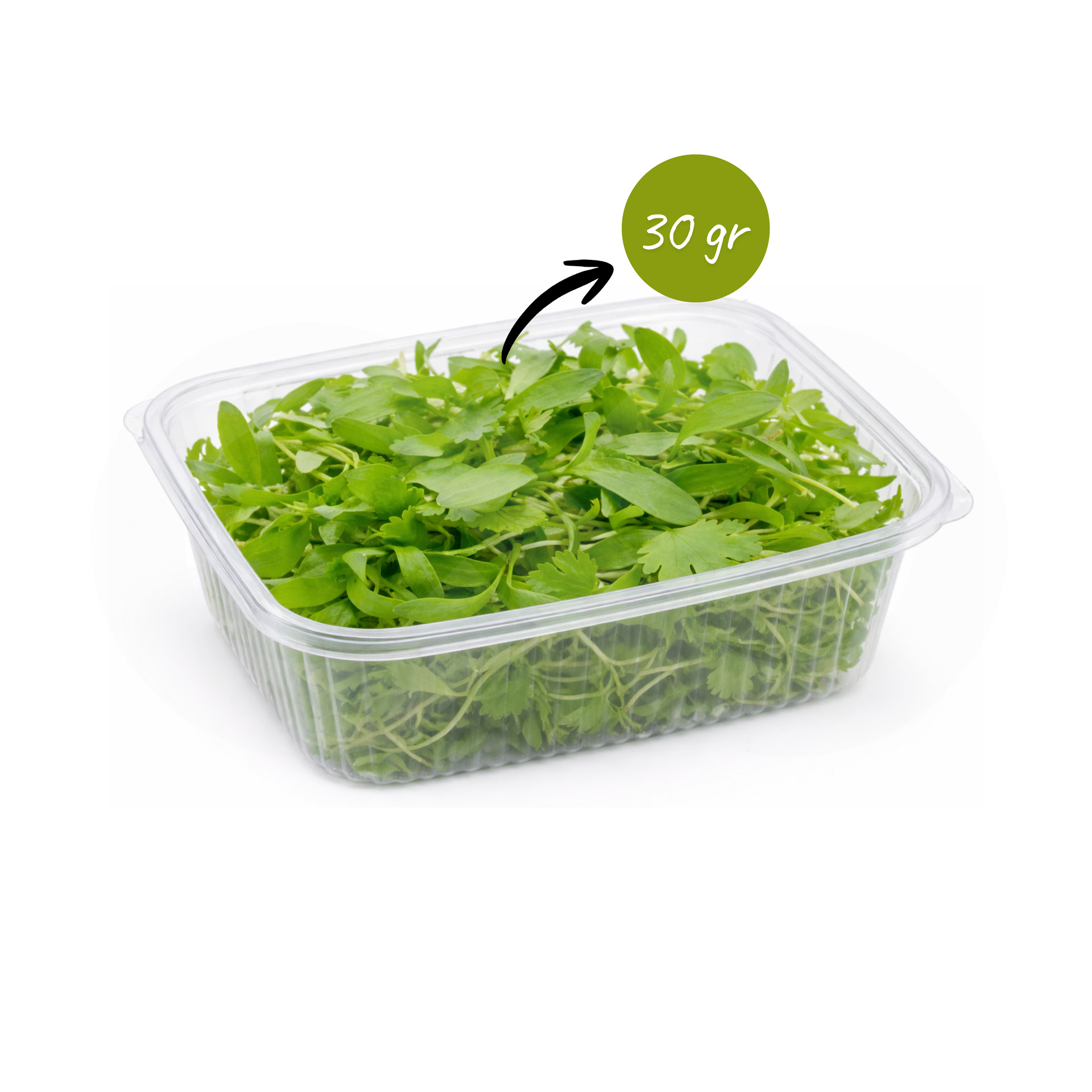 MERCEARIA DU CHEF® Micro Végétal Coriandre 30gr