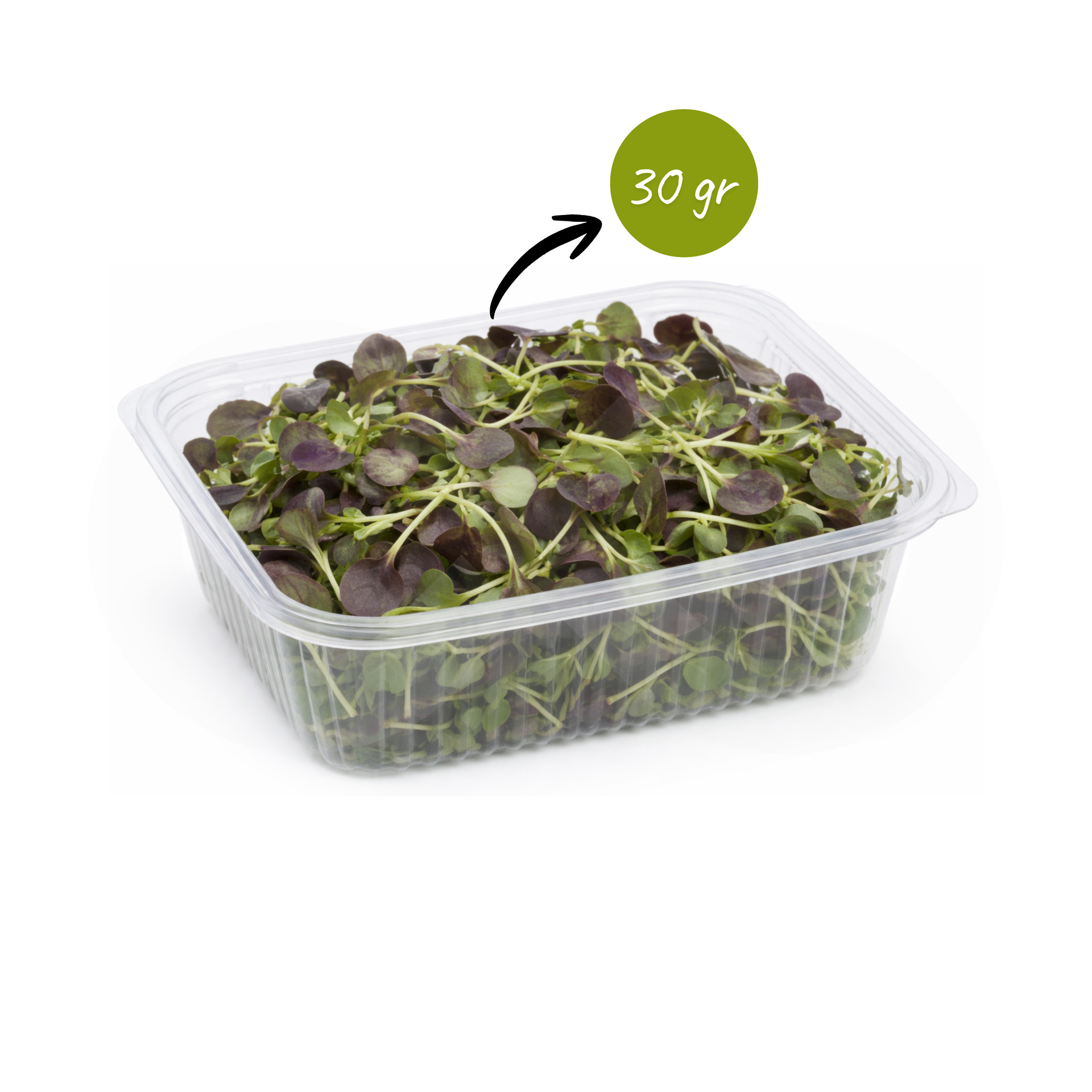 MERCEARIA DU CHEF® Microgroente Pak Choi 30gr