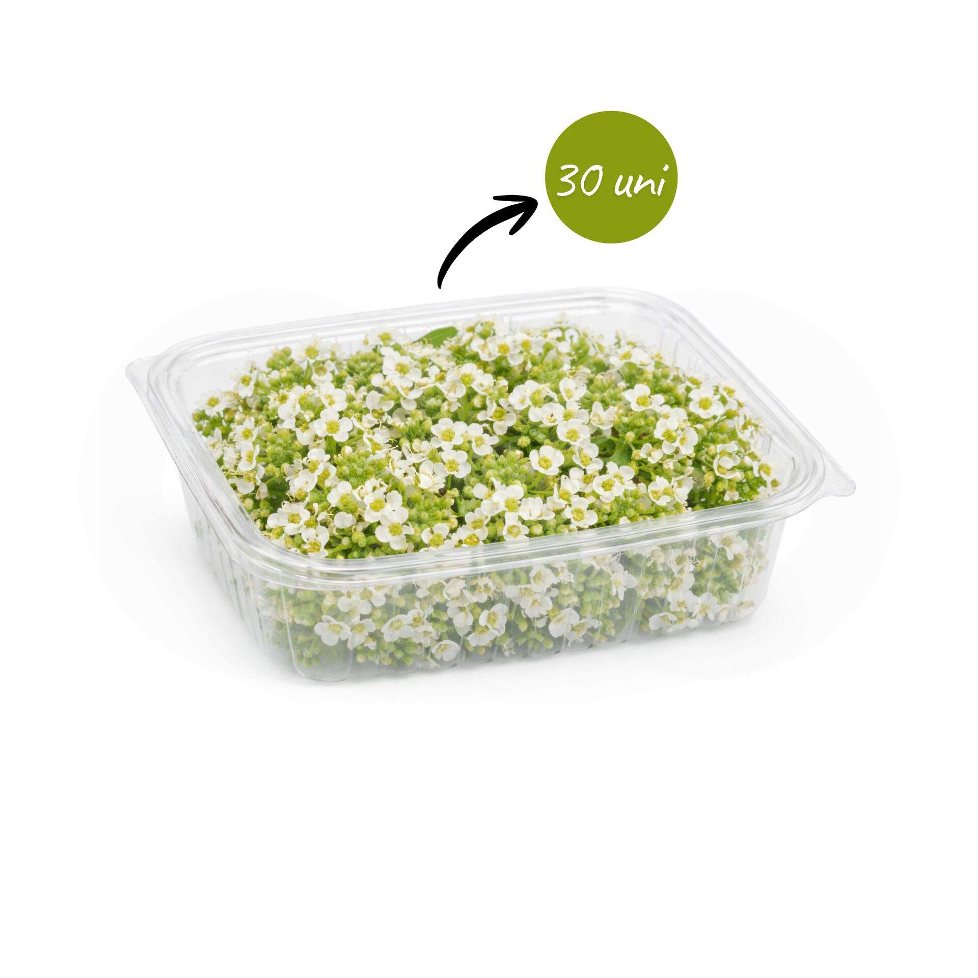MERCEARIA DU CHEF® Fleur de Miel 30 un.