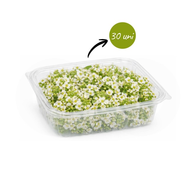 MERCEARIA DU CHEF® Fleur de Miel 30 un.