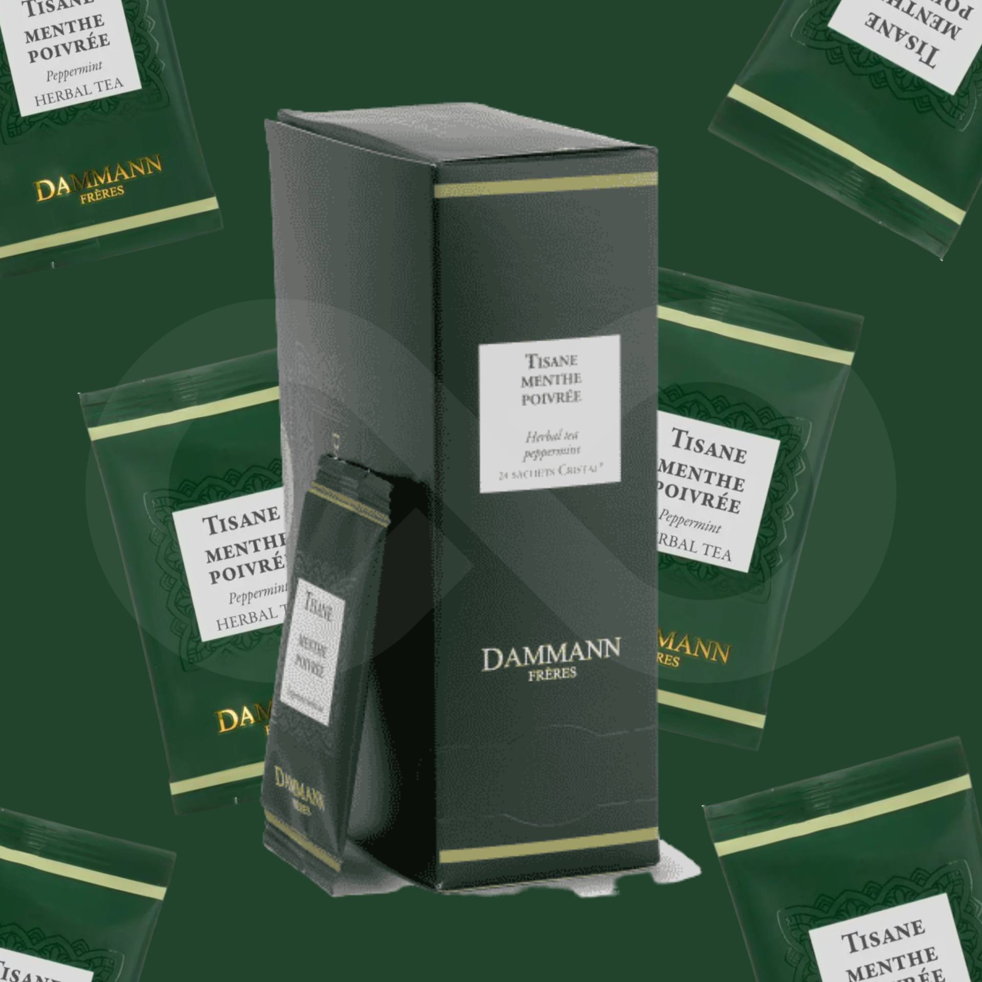 DAMMANN FRÈRES® Tee Menthe Poivrée 24 Stk.