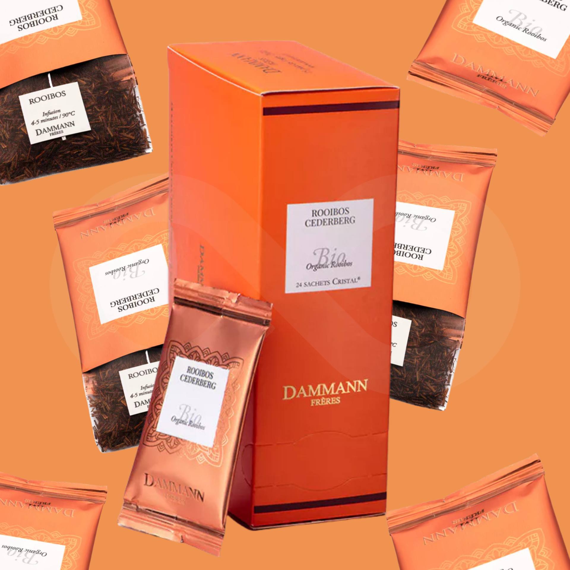 DAMMANN FRČRES® Thee Rooibos Cederberg Bio 24 st.