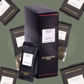 DAMMANN FRÈRES® Thee Sencha Bio 24 st.