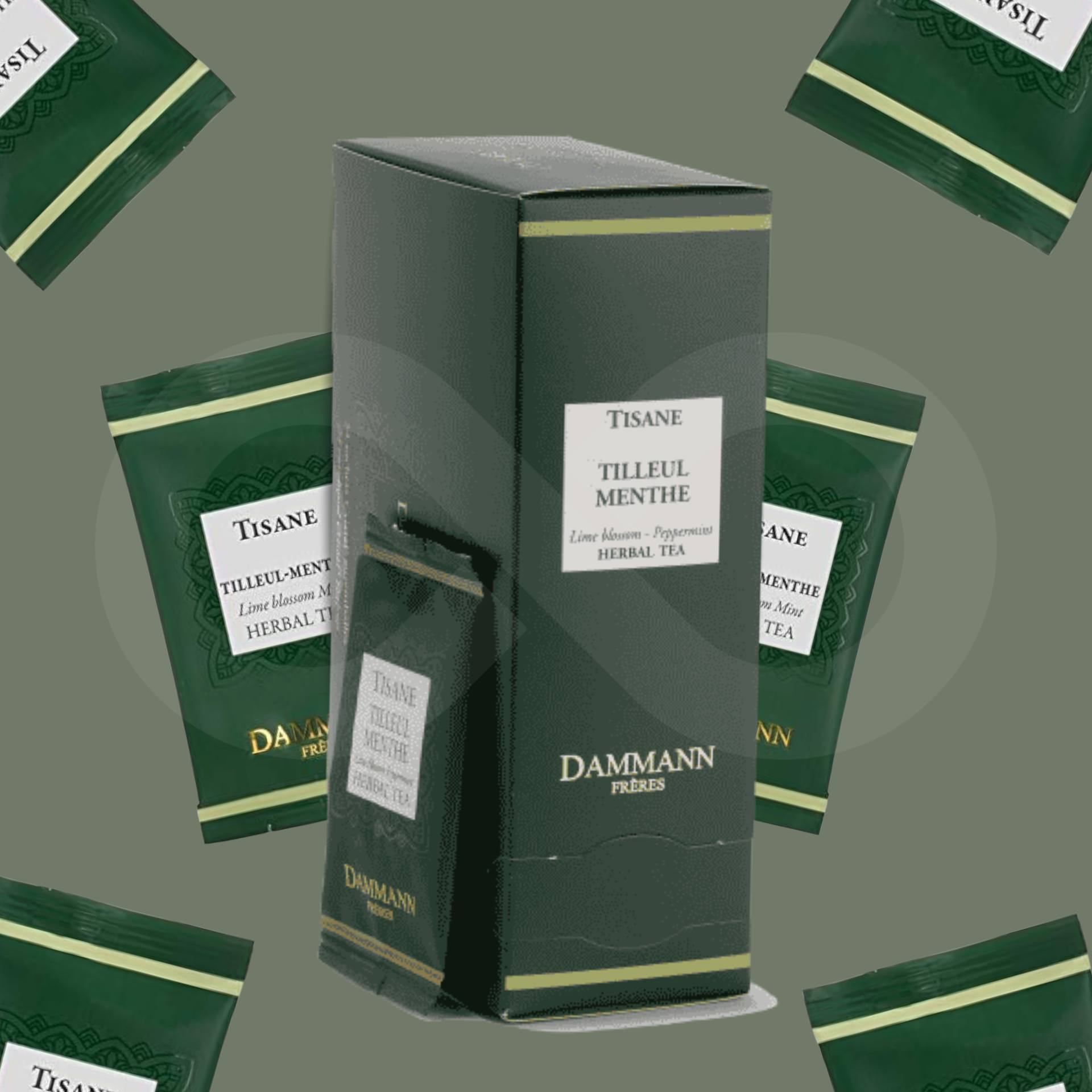 DAMMANN FRÈRES® Té Tilleul Menthe 24 uds.