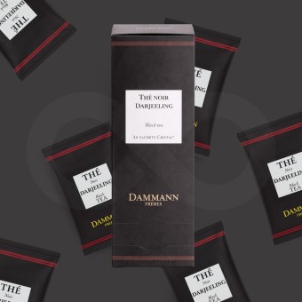 DAMMANN FRÈRES® Tee Darjeeling 24 Stk.