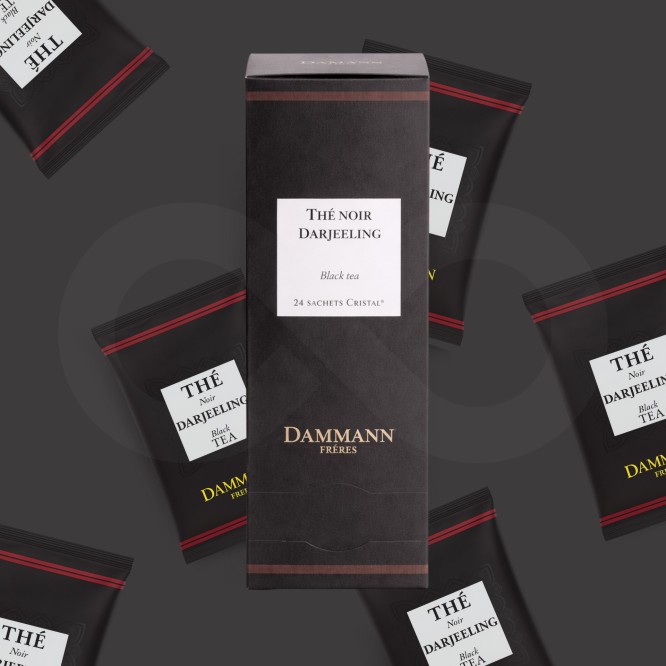 DAMMANN FRÈRES® Tee Darjeeling 24 Stk.
