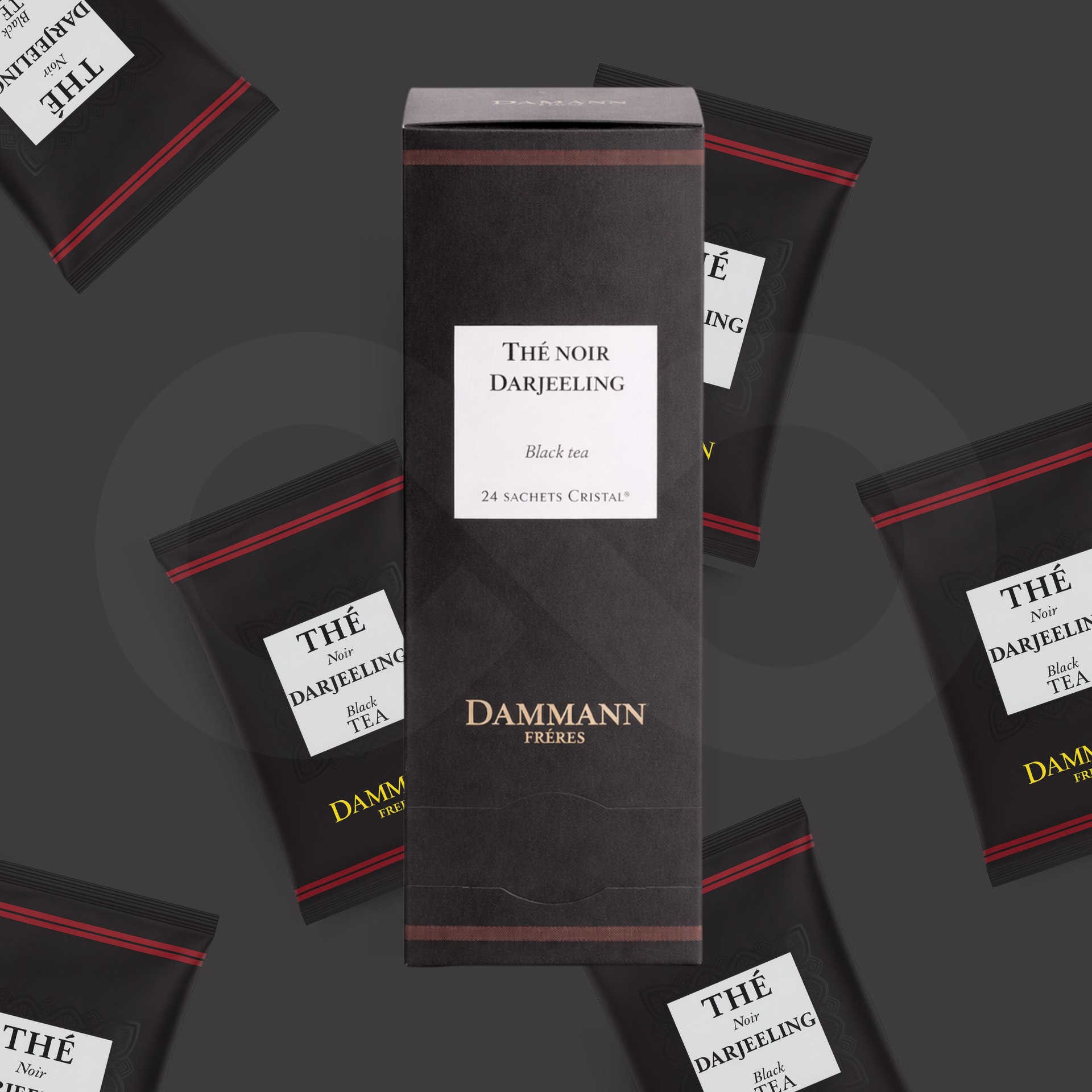 DAMMANN FRÈRES® Tea Darjeeling 24 un.