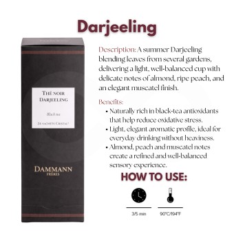 DAMMANN FRÈRES® Tee Darjeeling 24 Stk.