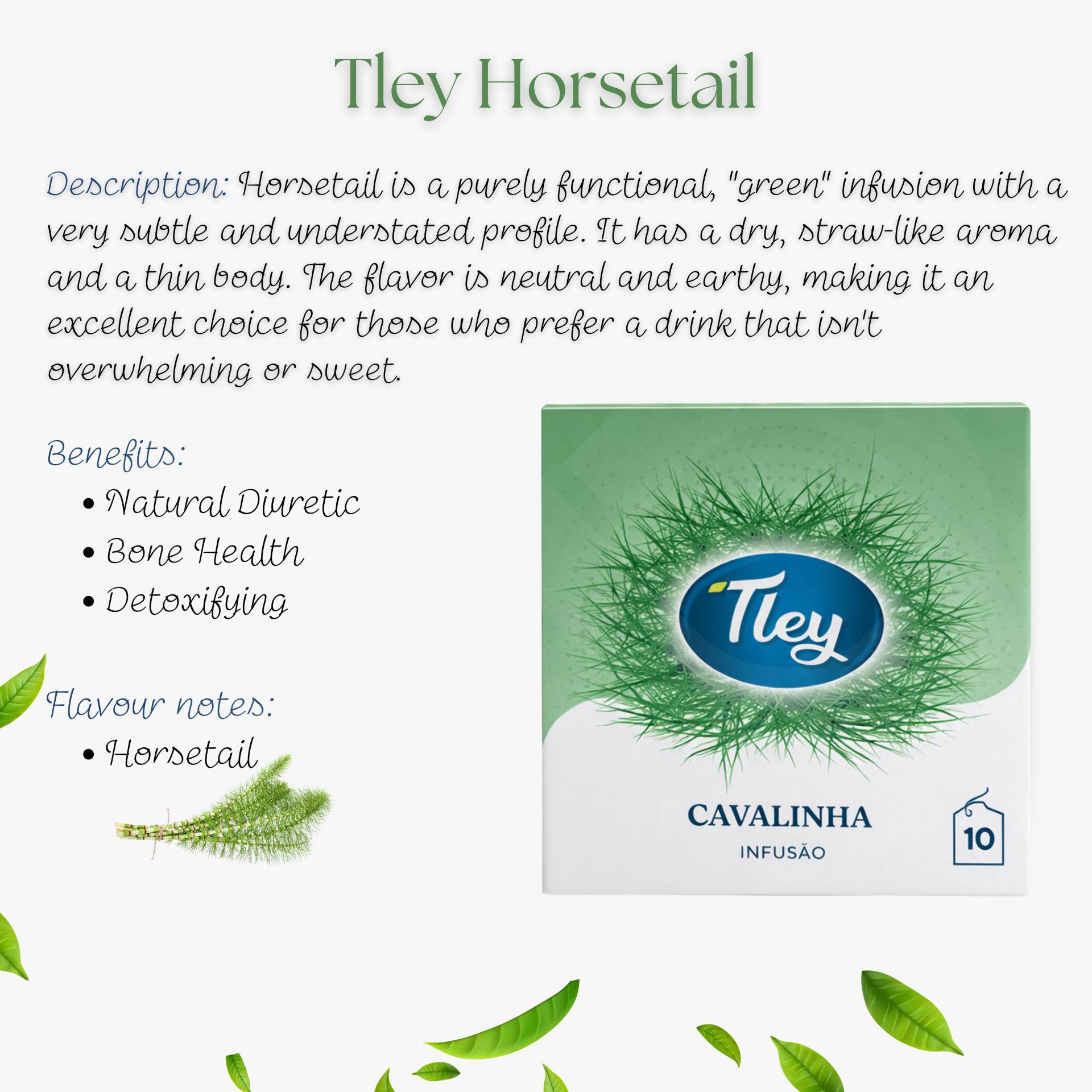 TLEY® Tea Cavalinha 10 un.