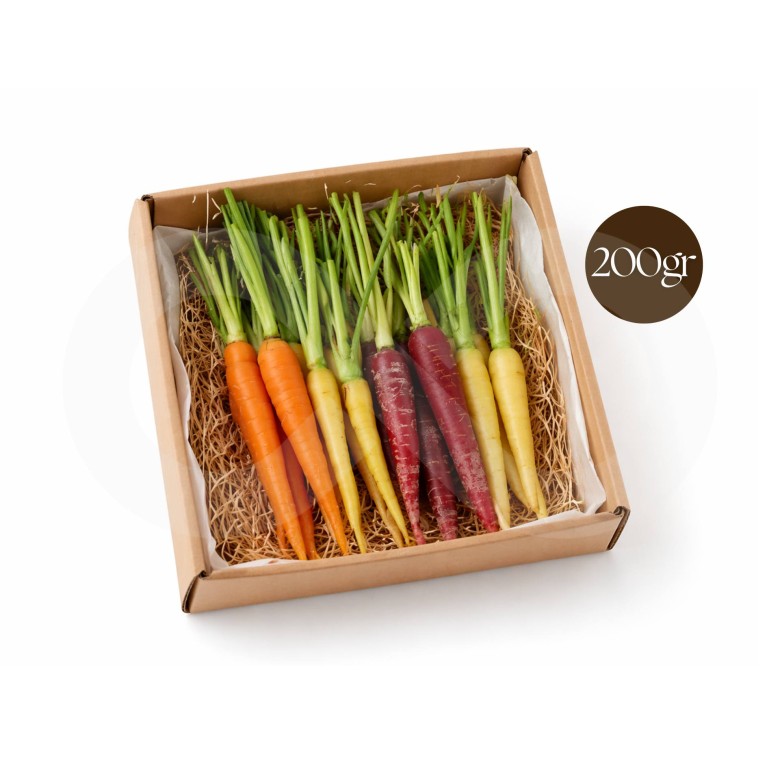 MERCEARIA DU CHEF® Mini Verduras Zanahoria Mix de Colores 20