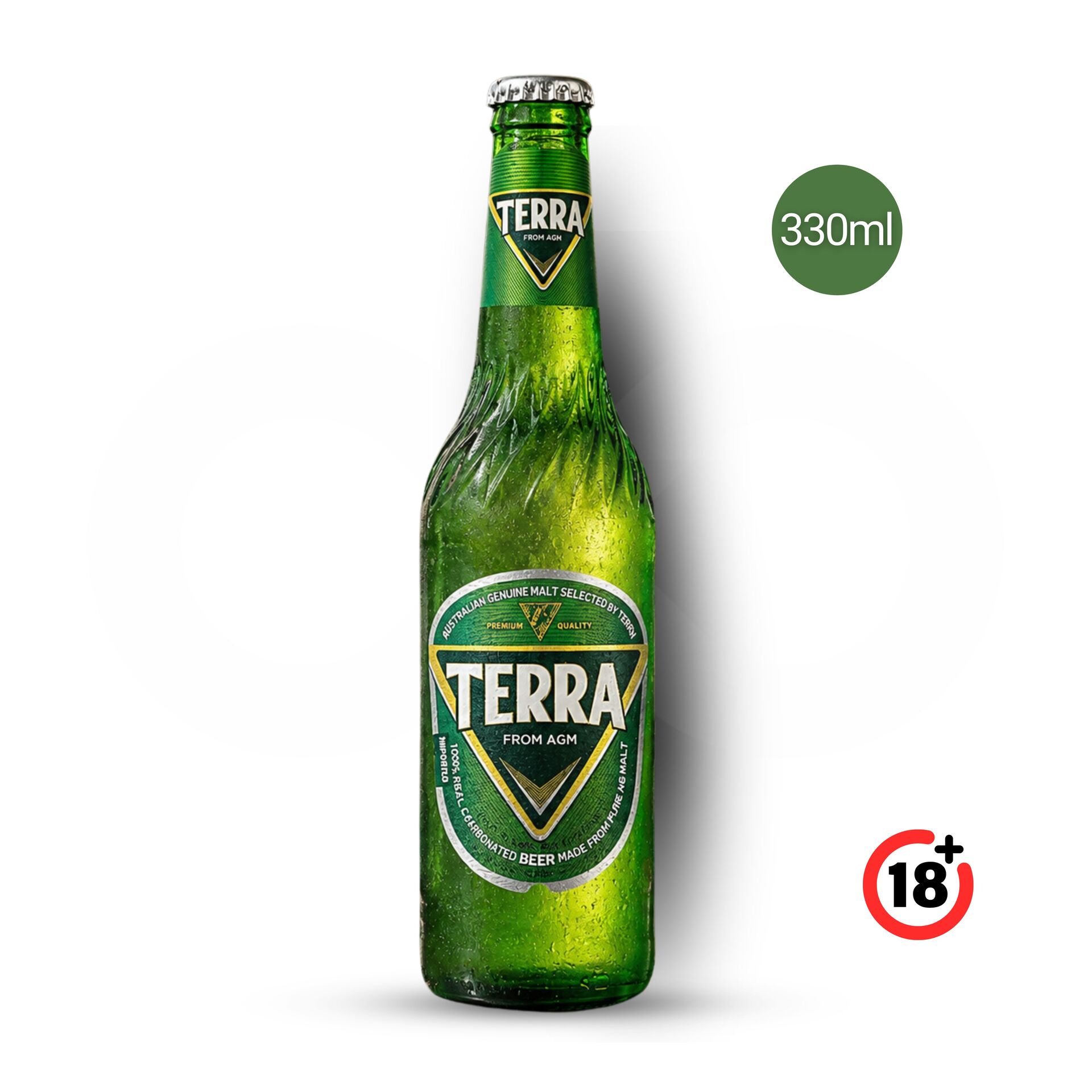 TERRAź Piwo 330ml