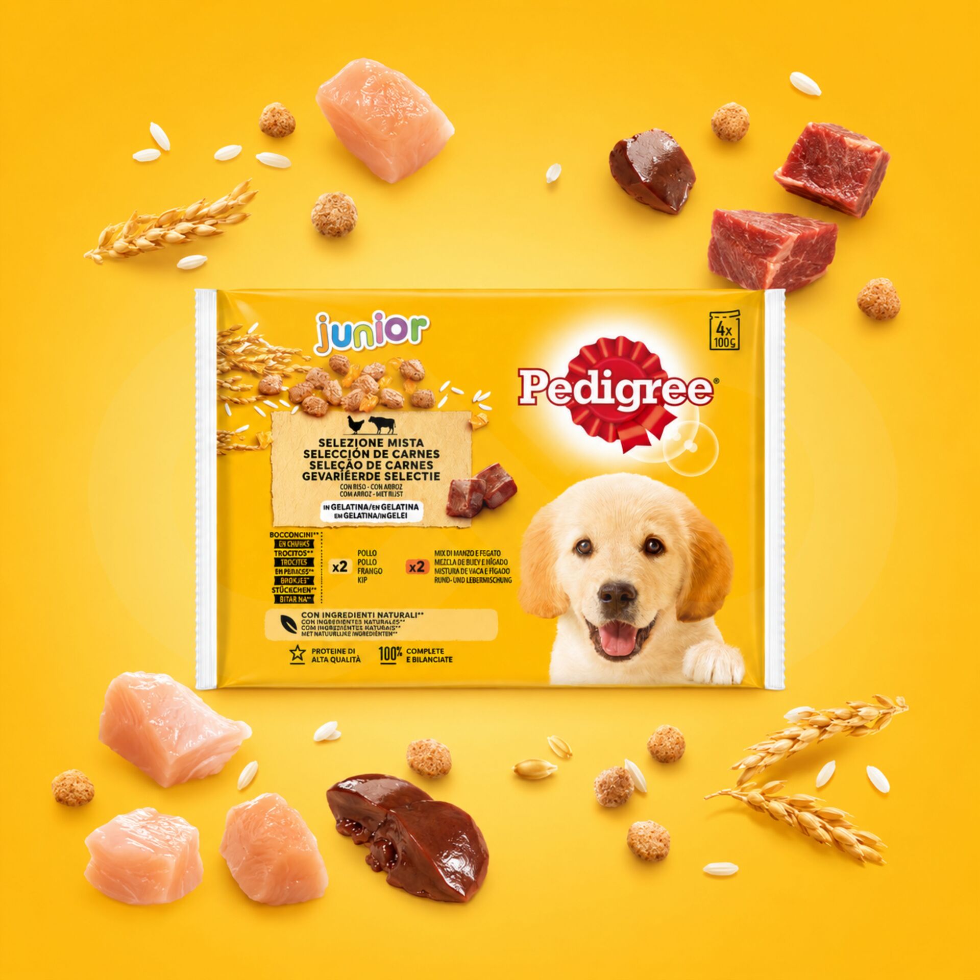 PEDIGREE® Junior Pollo e Manzo con Riso 4x100g