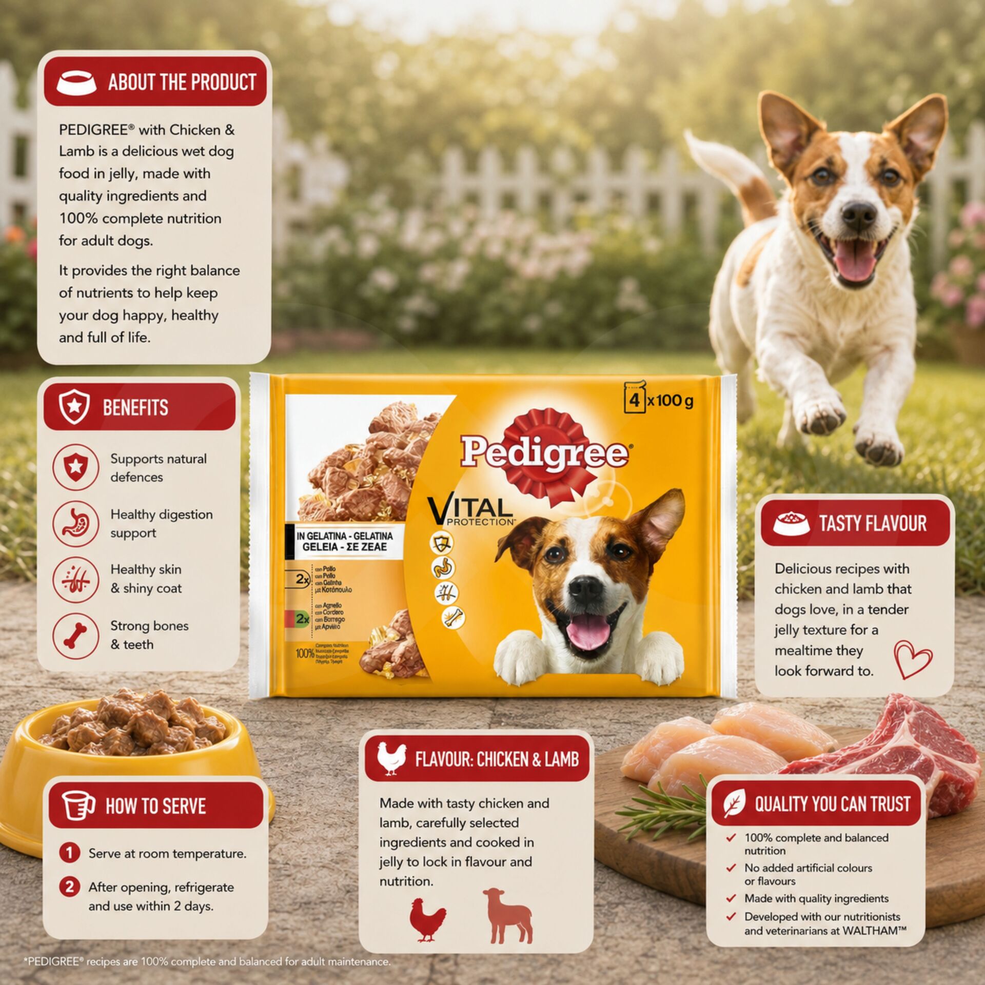 PEDIGREE® Kurczak i Jagniecina 4x100g