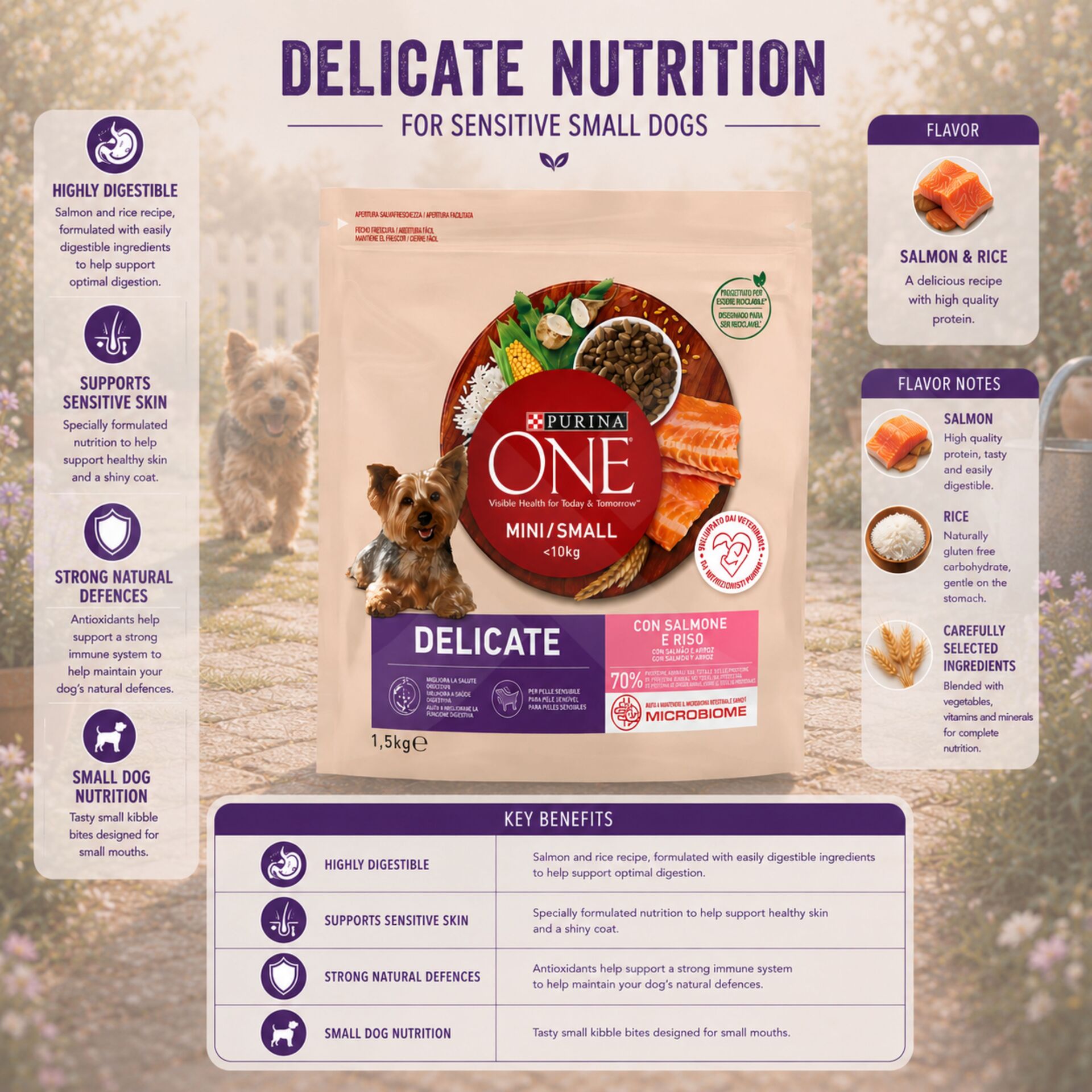 PURINA® ONE Delicate Duo Salmone 1,5kg