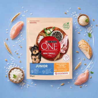 PURINA� ONE Junior Chicken 800g