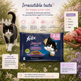 PURINA� FELIX Fantastic Junior 4 x 85g