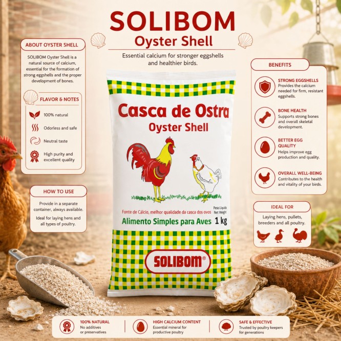 SOLIBOM® Austernschalen 1 kg