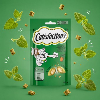 CATISFACTIONS® Snack Hierba Gatera 60 g CATISFACTIONS® Snack Hierba Gatera 60 g