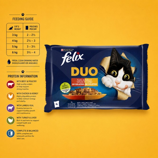 PURINA® FELIX® Fantastic Duo Selectie van het Platteland 4 x