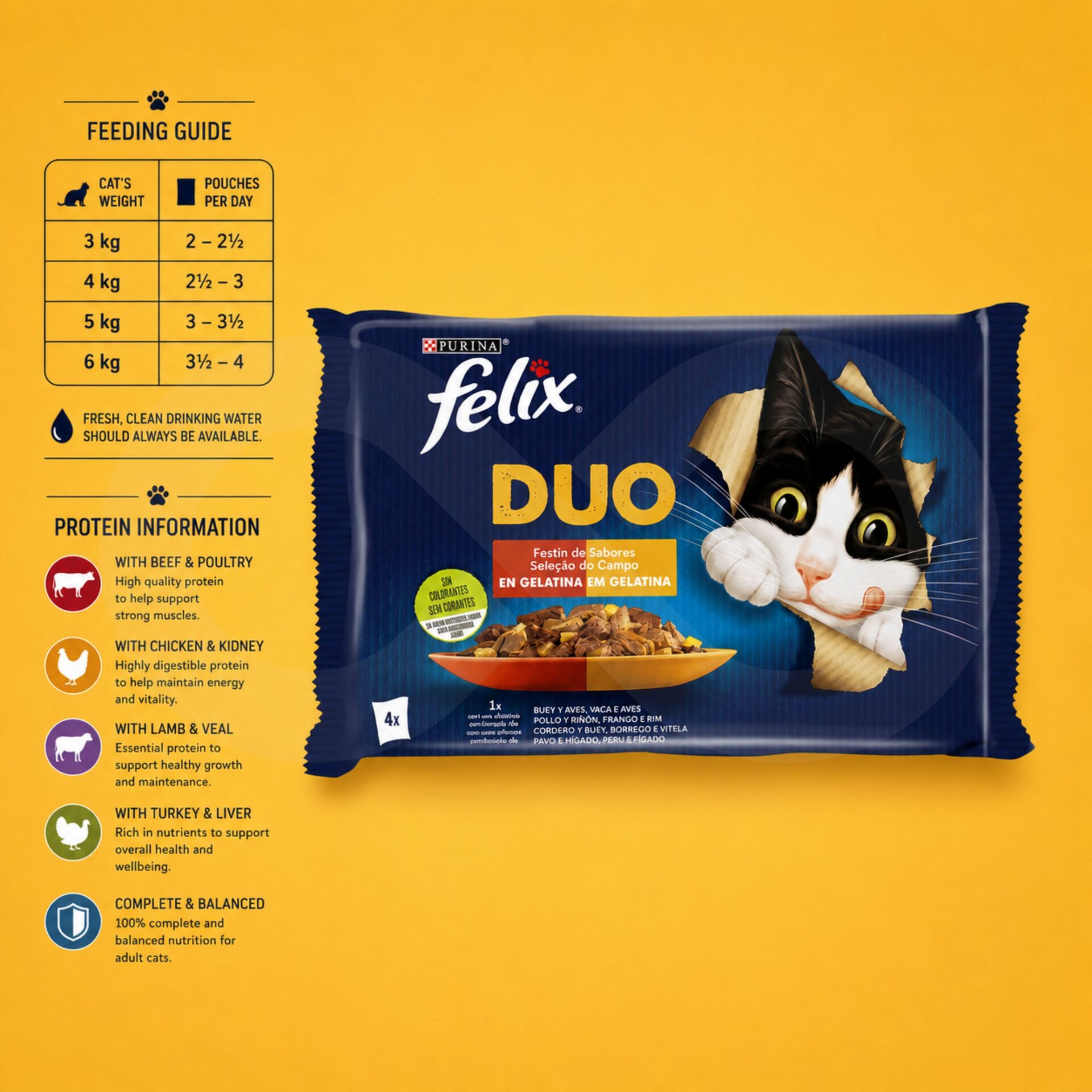 PURINA® FELIX® Fantastic Duo Selectie van het Platteland 4 x