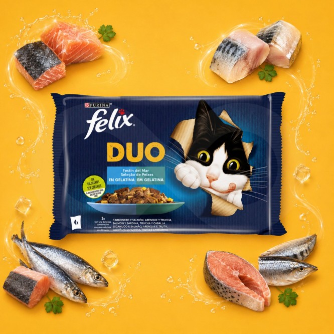 PURINA® FELIX Fantastic Duo Seleção de Peixes 4 x 85g