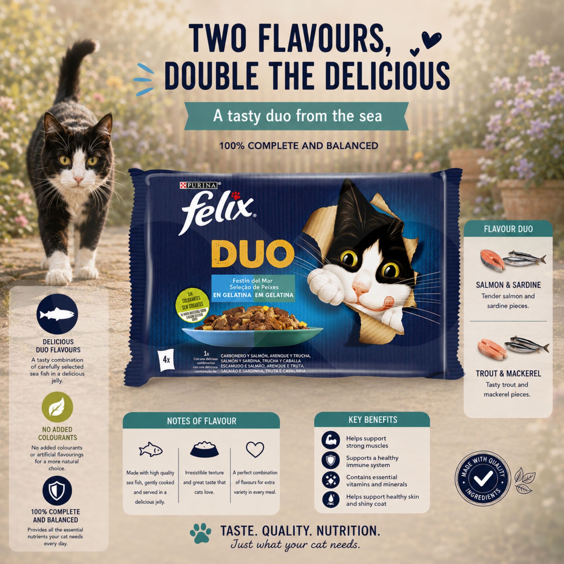 PURINA® FELIX Fantastic Duo Seleção de Peixes 4 x 85g