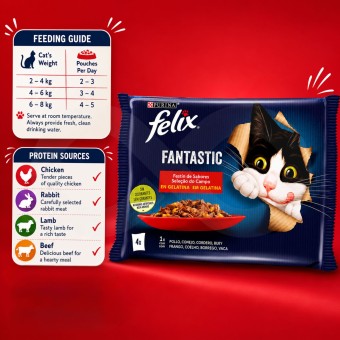 PURINAź FELIX Fantastic Miesna Uczta 4 x 85g