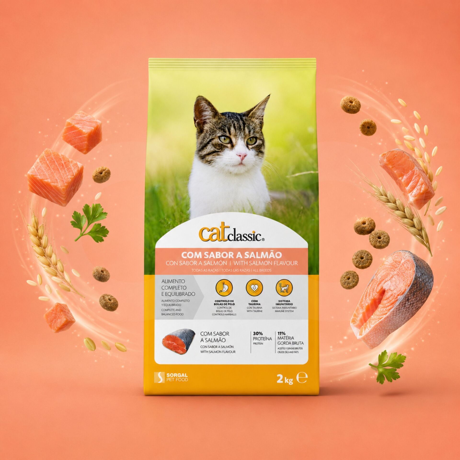 CATCLASSIC® Alimento Seco Salmón 2 kg
