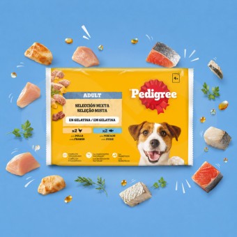 PEDIGREE� Adult Mixed Selection in Jelly 4 � 100 g