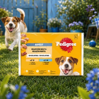 PEDIGREE® Adulte en Gelée Sélection Mixte 4 × 100 g